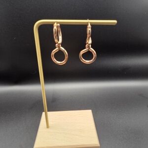 Steel Rose-Gold Toned Earrings